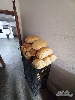 image_10