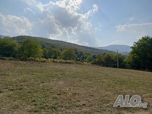 image_6