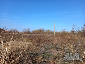 image_7