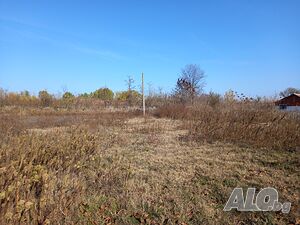 image_8