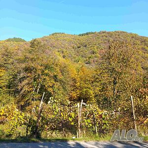 image_8