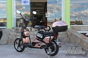 image_3