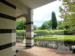 image_7