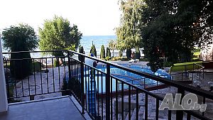 море - Елените