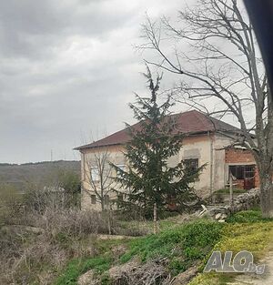 image_2