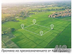 image_11