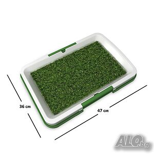 image_3