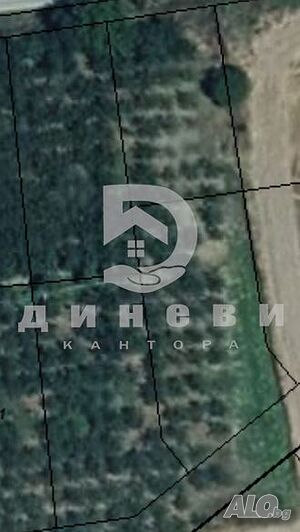 image_6