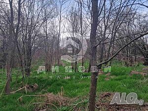 image_9