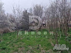 image_11