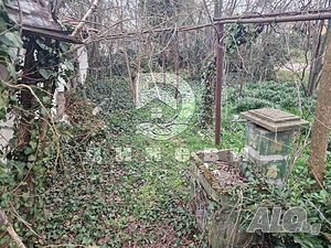 image_7