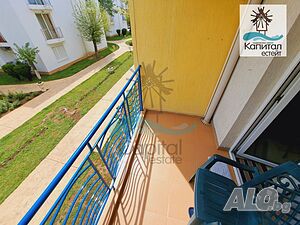 image_11