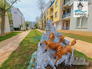 image_12