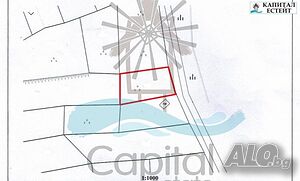image_3