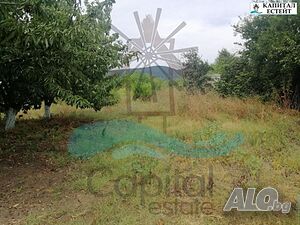 image_7