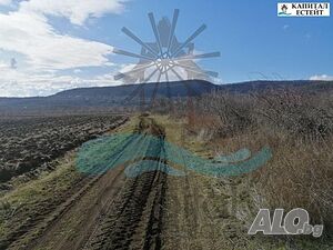 image_8