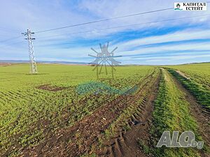 image_4