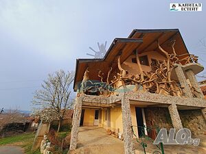 image_11