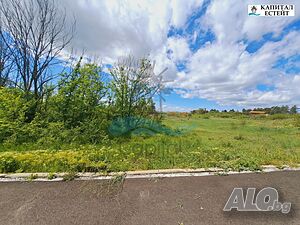 image_5