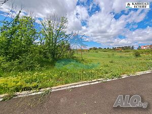 image_6