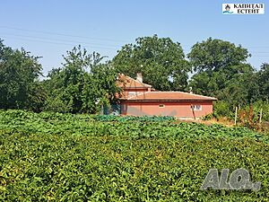 image_15