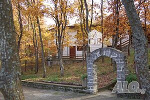 image_9