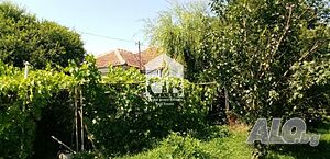 image_10