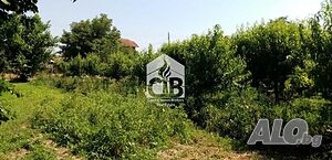 image_15