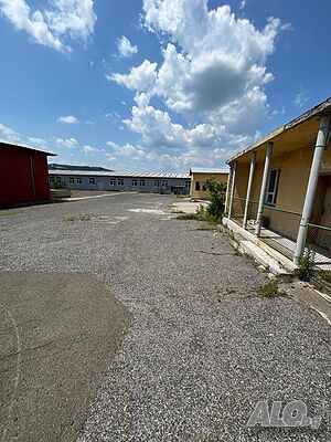 image_6
