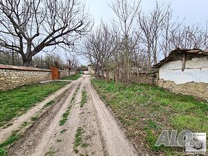image_11