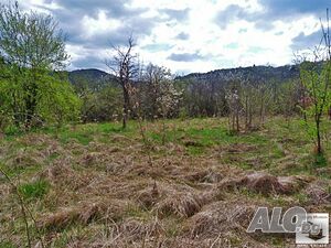 image_13