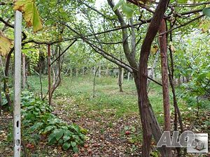 image_9
