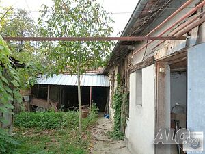 image_10