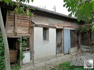 image_11
