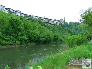 image_11