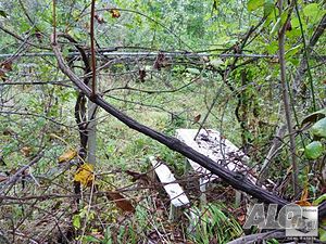 image_3
