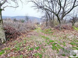 image_9