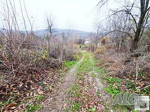 image_10