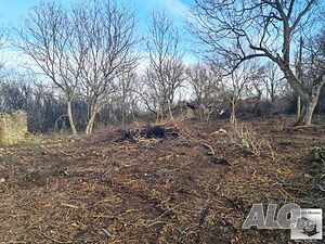 image_15