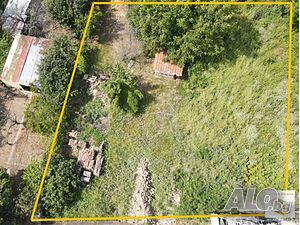image_7