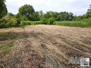 image_15