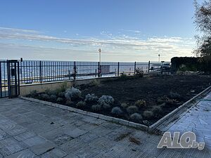 image_25