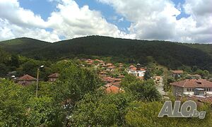 image_13