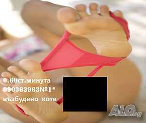 image_4