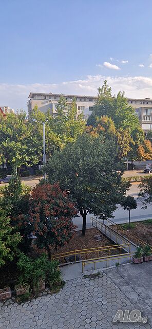image_7
