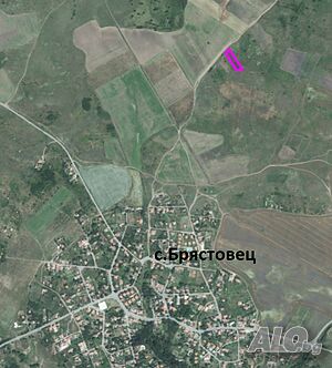 Продават се две лозета