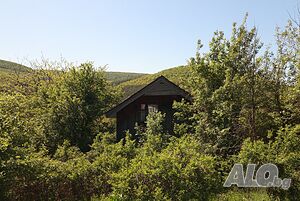 Продаваме дворно място с дървена вила в с. Лясково