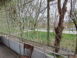 image_10