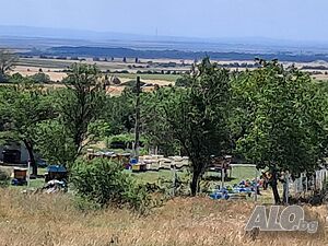 image_11