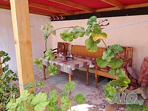 image_12